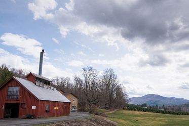 Maple Season Going Strong, Even Without Maple Open House Weekend